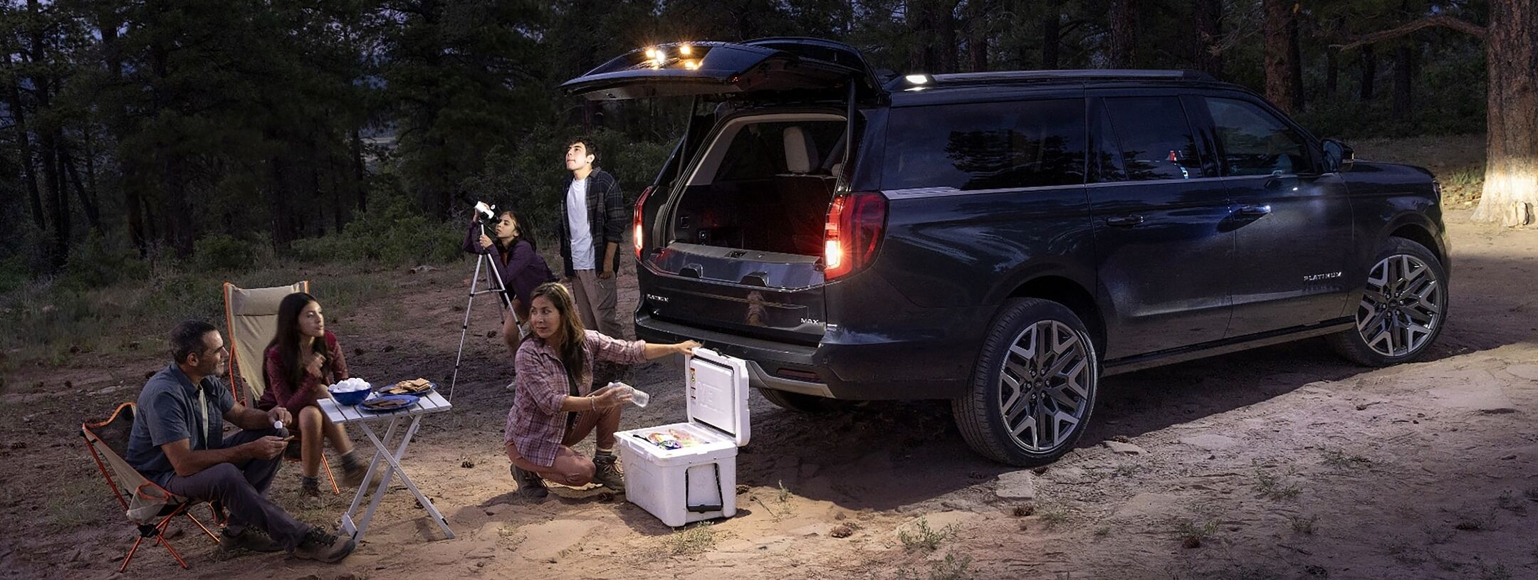 2025 Ford Expedition in Surrey, BC